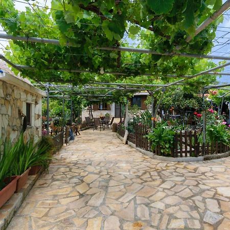 Dimitris'S Country House Agia  Esterno foto