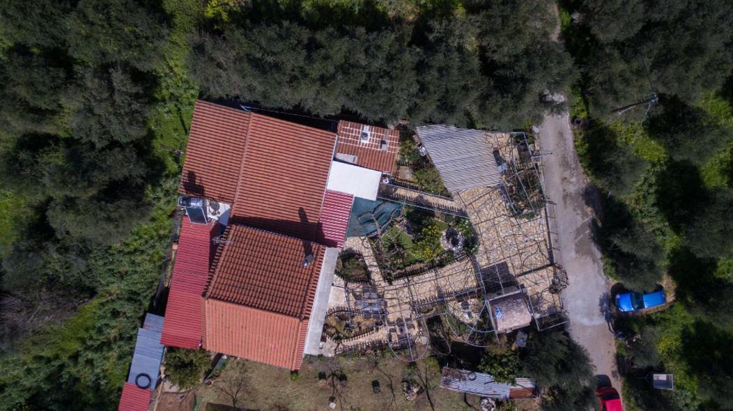 Dimitris'S Country House Agia  Esterno foto