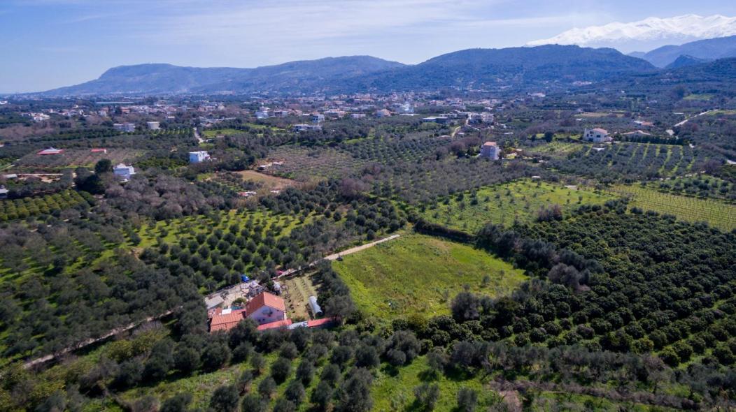 Dimitris'S Country House Agia  Esterno foto
