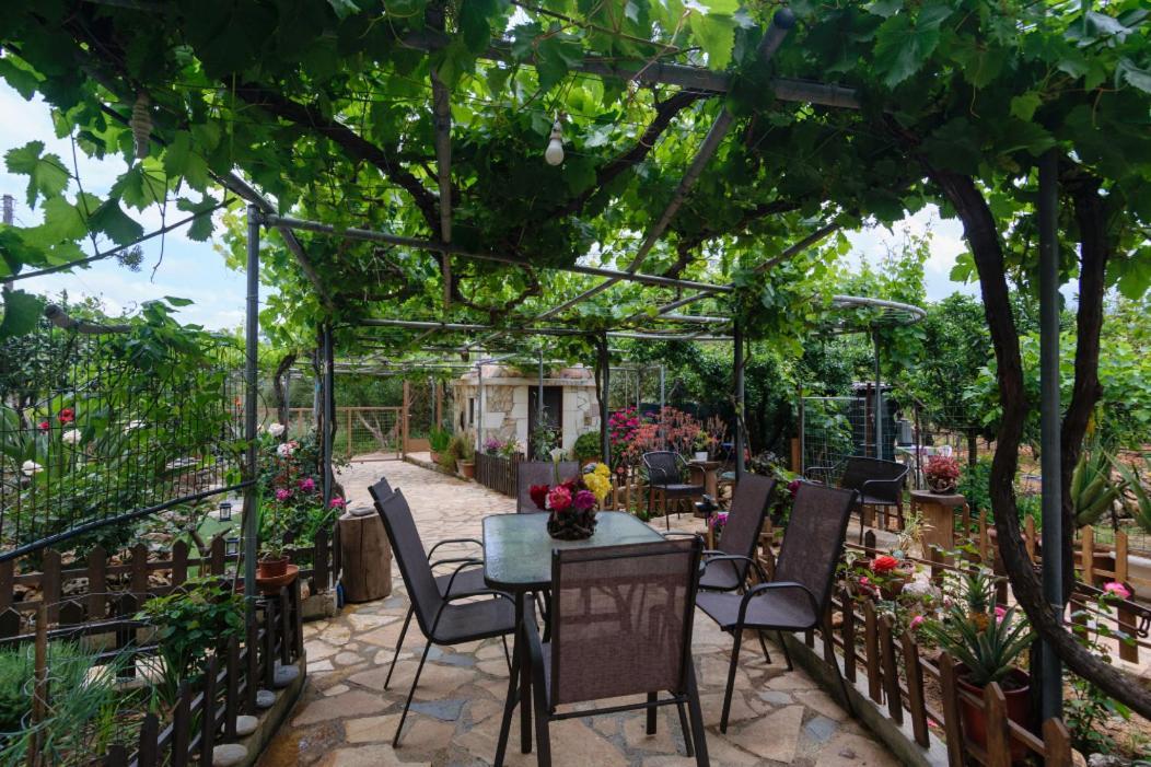 Dimitris'S Country House Agia  Esterno foto