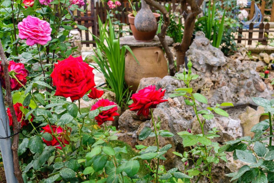 Dimitris'S Country House Agia  Esterno foto